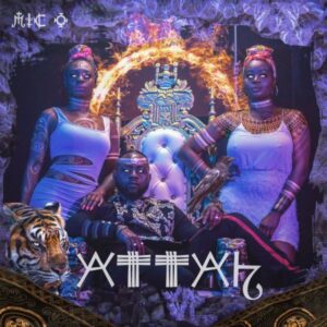 Mic-O-–-Real-Ting-ft-Teni-300x300