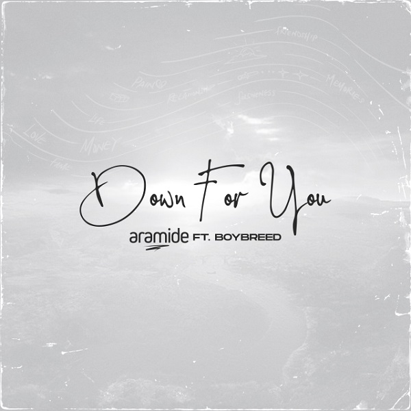 Aramide-Down-For-You