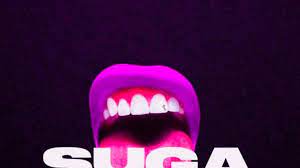 Megan-Thee-Stallion-The-Chopstars-Captain-Hook-chopnotslop-Remix-1.jpg