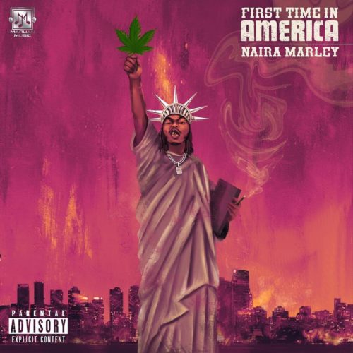 Naira-Marley-First-Time-In-America-1.jpg