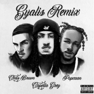 Capella-Grey-GYALIS-Remix-Ft-Chris-Brown-Popcaan-1.jpg