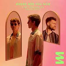 Lost-Frequencies-Calum-Scott-Where-Are-You-Now-1.jpg