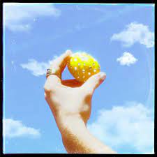 Spencer-Sutherland-Lemons-1.jpg