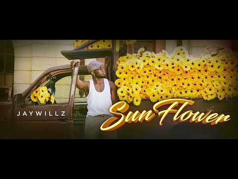 Jaywillz-Wishlist-1.jpg