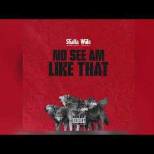 Shatta-Wale-No-See-Am-Like-That-1.jpg