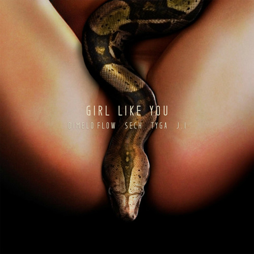 Dimelo-Flow-Girl-Like-You-Ft-Sech-Tyga-J-I-1.jpg