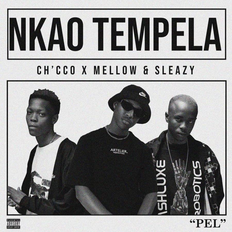Fakelove-Nkao-Tempela-Ft-Mellow-Sleazy-Ch-cco-1.jpg
