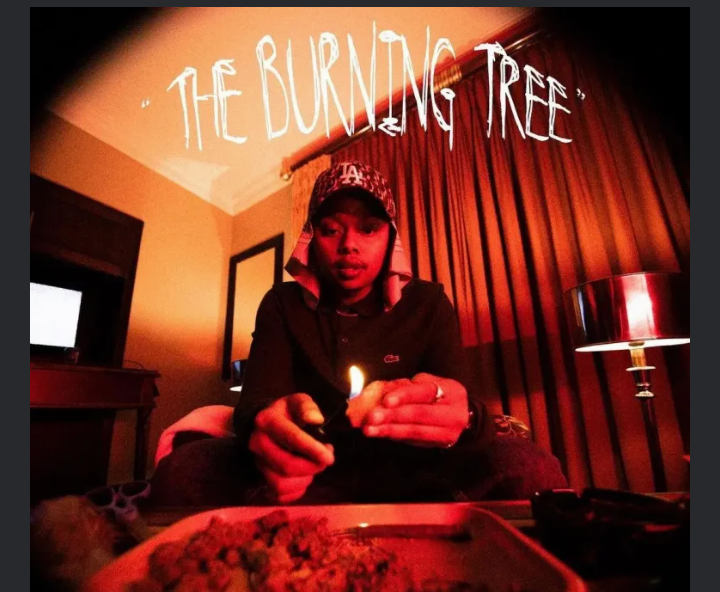 ALBUM-A-Reece-The-Burning-Tree-1.png