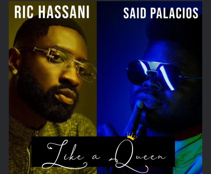 Ric-Hassani-Like-A-Queen-Remix-Ft-Said-Palacios-1.png