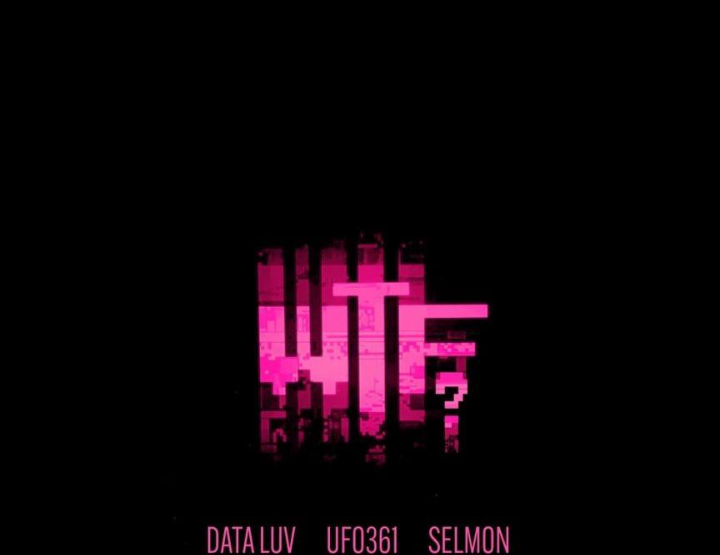 Data-Luv-feat-Ufo361-Selmon-WTF-1.png