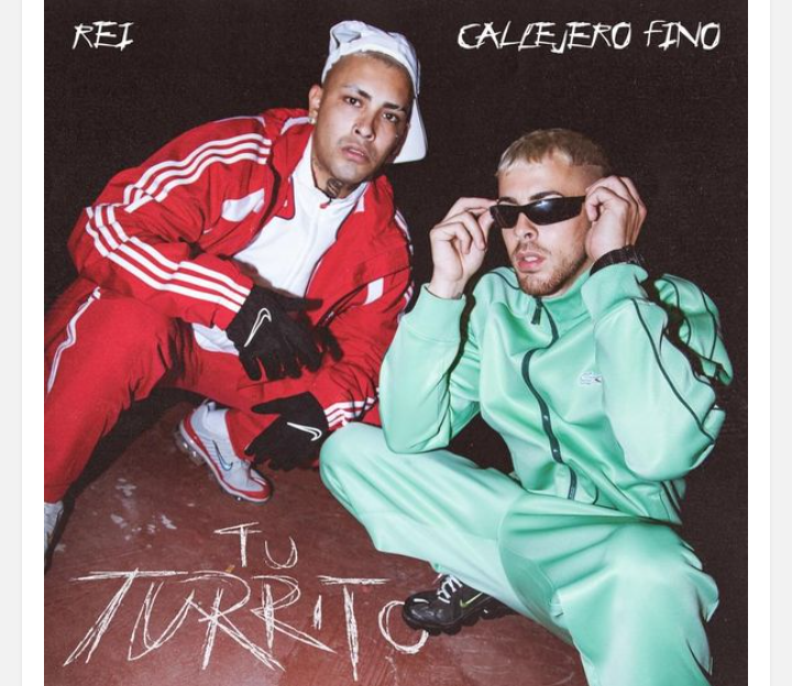 Rei-Callejero-Fino-Tu-Turrito-1.png