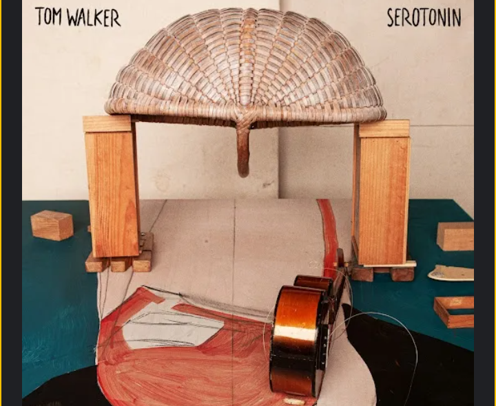 Tom-Walker-Serotonin-1.png