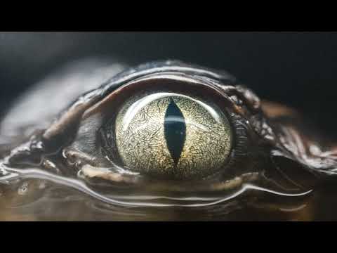Joji-Glimpse-Of-Us-1.jpg