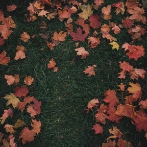 girl-in-red-October-Passed-Me-By-1.jpg