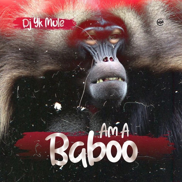 DJ-YK-Mule-Am-A-Baboo-1.jpg