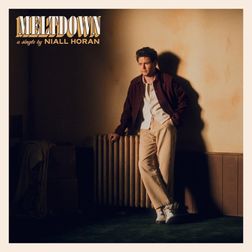 Niall-Horan-Meltdown-1.jpg