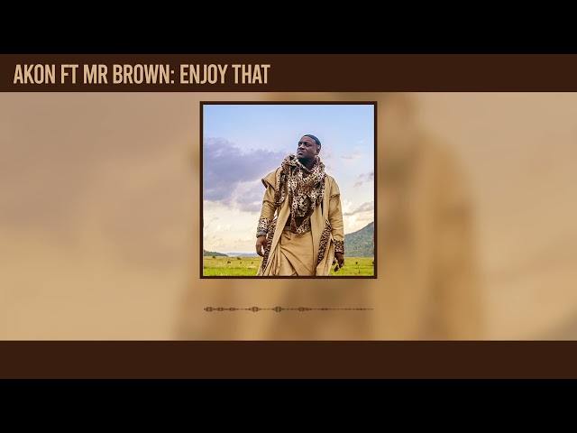 Akon-Enjoy-That-Remix-Ft-Mr-Brown-1.jpg