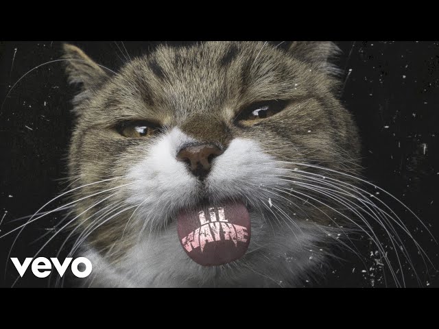 Lil-Wayne-Kat-Food-1.jpg
