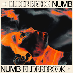 Elderbrook-Numb-1.jpg