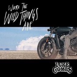 Luke-Combs-Where-the-Wild-Things-Are-1.jpg
