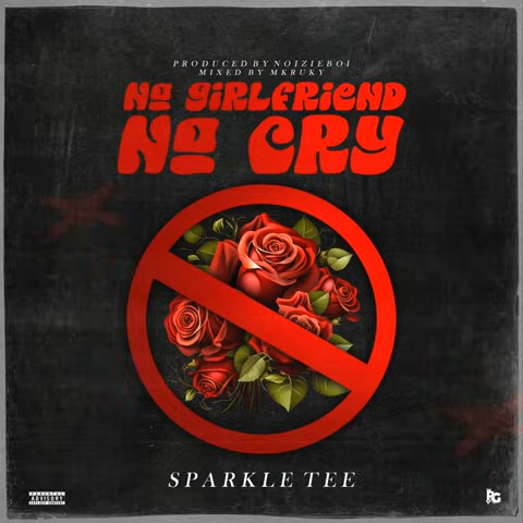 Sparkle-Tee-No-Girlfriend-No-Cry-1.jpg