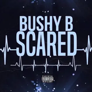 Bushy-B-Scared-Sped-Up-1.jpg