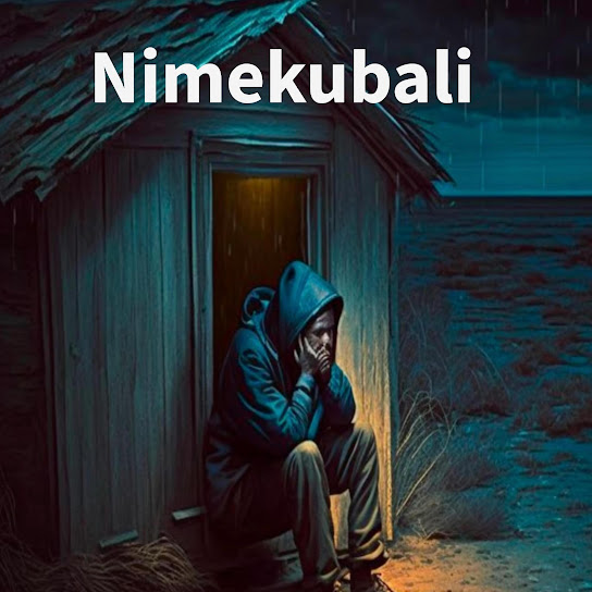 Diamond-Platnumz-Nimekubali-1.jpg